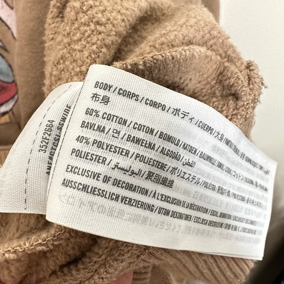 HOLLISTER Oversized Mushroom Nature Sweatshirt Tan Brown {3T47} - Picture 5 of 5